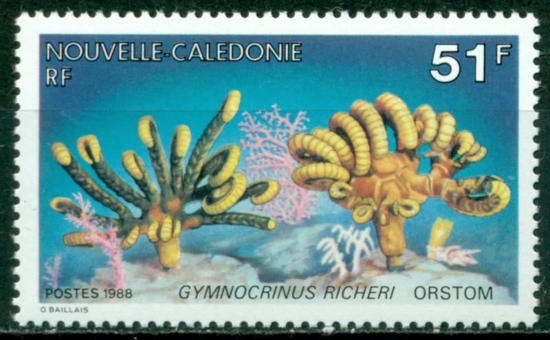New Caledonia Scott #580 MNH Living Fossils Coral Fauna $$