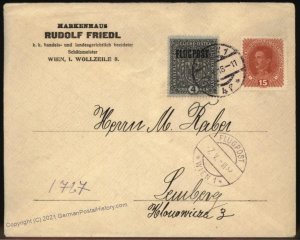 Austria 1918 Imperial Vienna First Airmail Issue Mi227 Flugpost Cover Lwo 105386