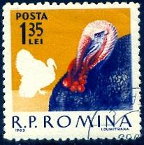 Domestic Poultry, Tom Turkey, Romania stamp SC#1559 used