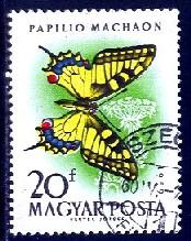 Butterfly, European Swallowtail, Hungary stamp SC#1268 used