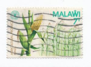 Malawi 1981  Scott 386 used - 7t, World food day, Corn