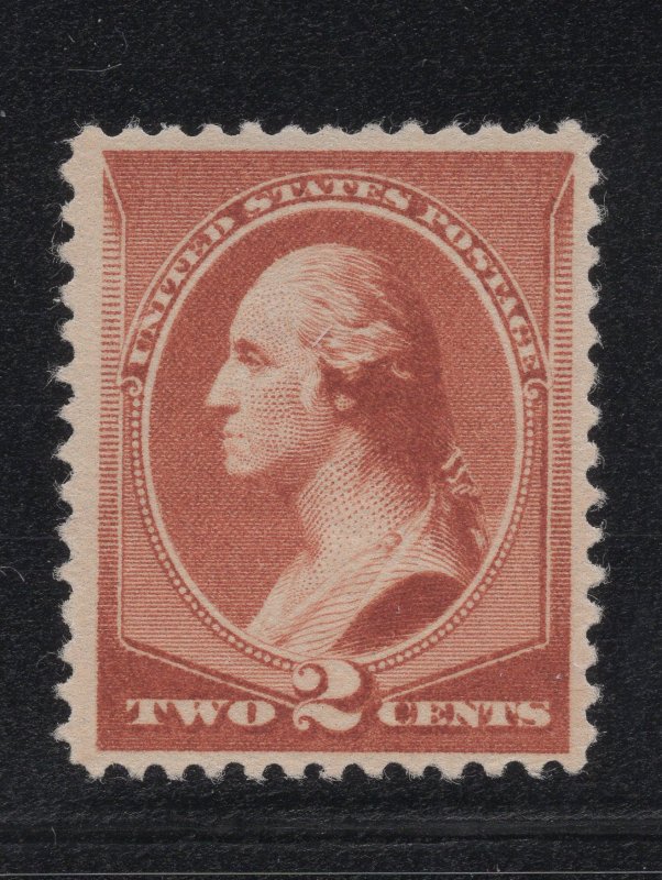 US Stamp Scott #210 Mint NO GUM SCV $17