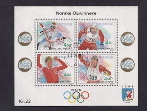 Norway #1035 used  1993   Winter Olympics gold medal winners sheet