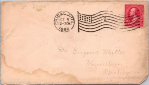 1896 - 2c Stamp -  Flag Cancel - Chicago, ILL - J1683