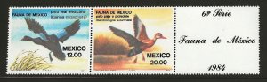 Mexico #1346-1347a MNH Fauna, ducks Pair with label (my1) (12323)