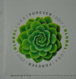 United States 2017 forever stamp Global succulent