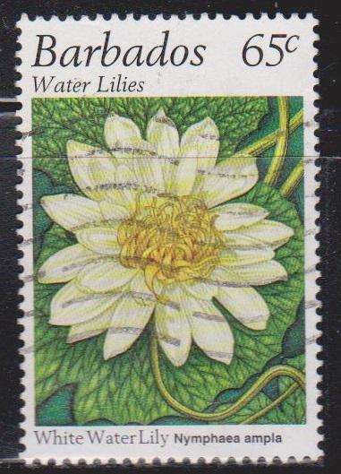 BARBADOS Scott # 906 Used - White Water Lilly