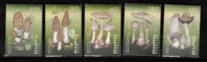 Belarus Sc 264-8 MNH set of 1998 - Mushrooms - FH02