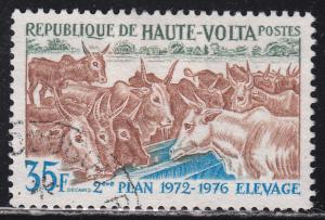 Burkina Faso 278 Domesticated Cattle 1972