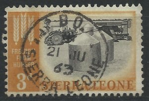 Sierra Leone 1963 - 3d Freedom from Hunger - SG255 used