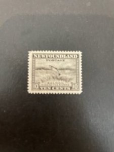 Newfoundland sc 260 MNH perf 12.5