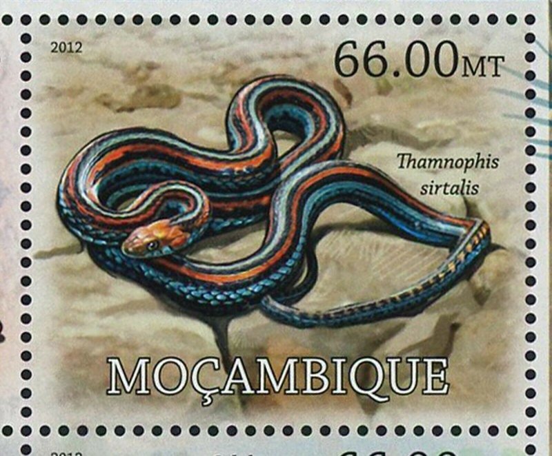 Snakes Stamp Aspidites Ramsayi Coluber Constrictor Priapus S/S MNH #5754-5765