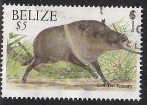 Belize # 1129, Collared Pecari, Used, 1/3 Cat.