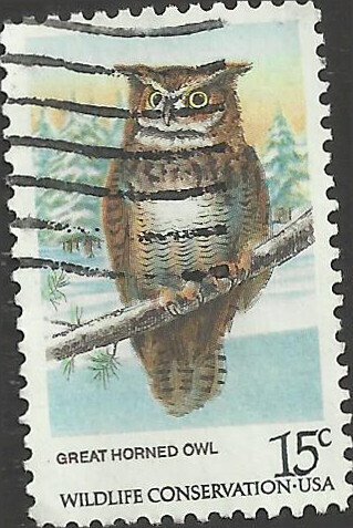 # 1763 USED GREAT HORNED OWL