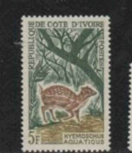 IVORY COAST #204 1963 5fr WATER CHEVROTAIN MINT VF NH O.G