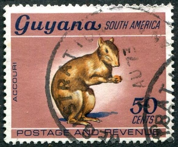 Guyana Sc#49 Used (Gu)