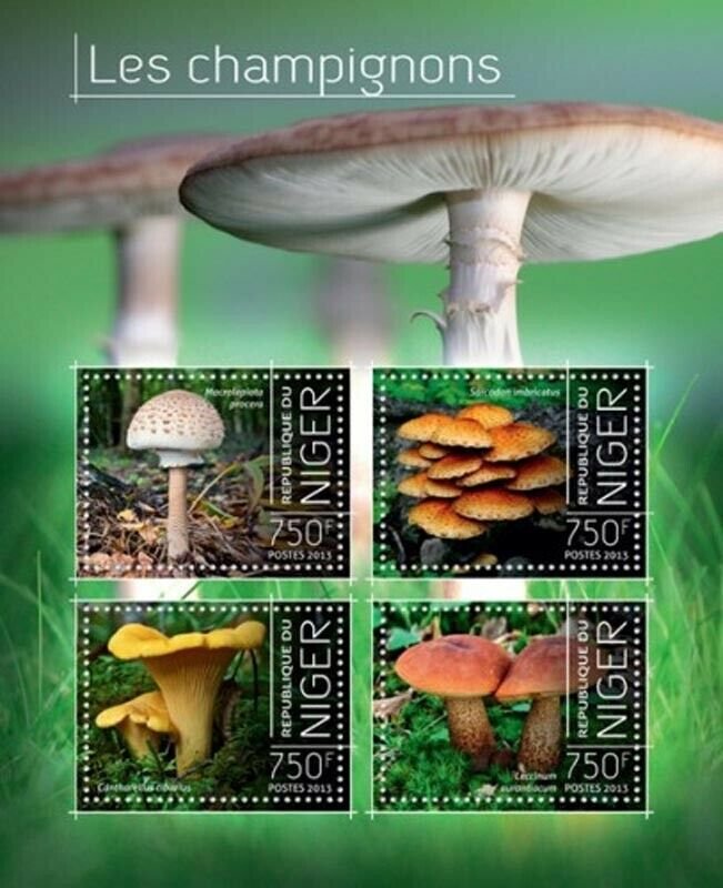 Niger - 2013 Exotic Mushrooms of Africa Stamp Souvenir Sheet 14A-347