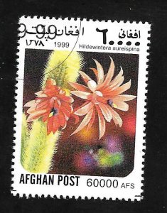 Afghanistan 1999 - Cactus - Cinderella