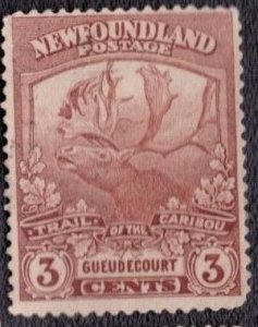 Canada Newfoundland - 117 1919 Used