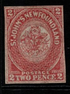 NEWFOUNDLAND SG17 1862 2d ROSE-LAKE MTD MINT