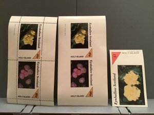 Eynhallow Scotland Holy Island Flowers Roses mint  never hinged stamps R24092