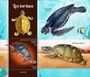 TOGO - 2023 - Tortoises/Turtles - Perf Souv Sheet - Mint Never Hinged