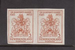 Newfoundland #214a VF Mint Imperforate Pair