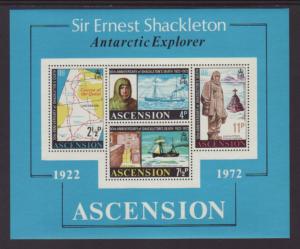 Ascension 163a Antarctic Souvenir Sheet MNH VF