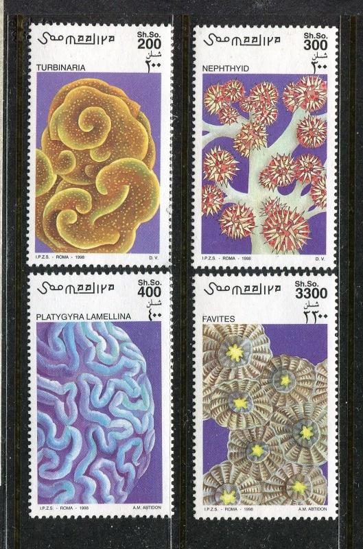 Somalia, MNH, Marine Life Nephthyid, Turbinaria 1998. x27990