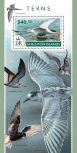 SOLOMON ISLANDS 2015 SHEET TERNS BIRDS slm15307b