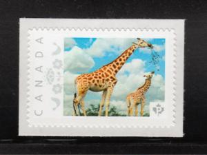 GIRAFFE African animal picture postage stamp MNH Canada 2013 [p4w6/3]