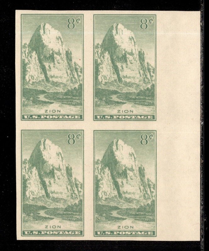 OAS-CNY 11090 NATIONAL PARKS 1934 IMPERF SCOTT 763 MT ZION PARK NGAI