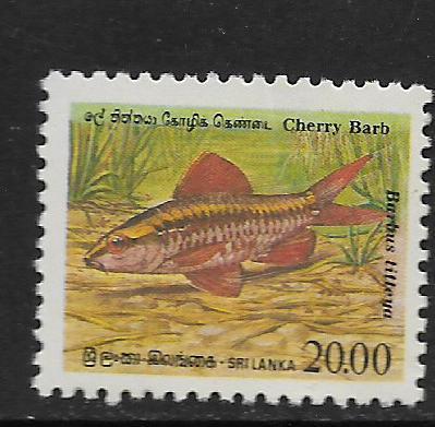 SRI LANKA, 980, MNH, CHERRY BARB FISH