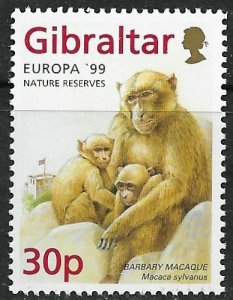 Gibraltar ~ Scott # 794 ~ MNH ~ Barbary Macaque