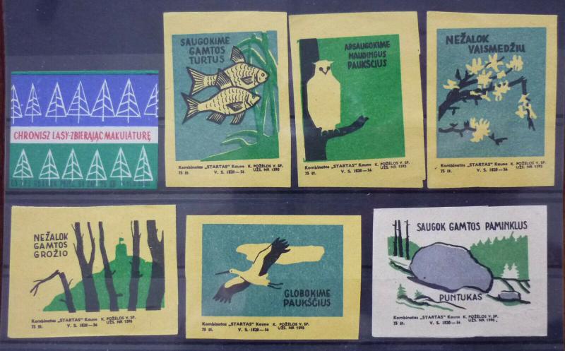 Match Box Labels! flora flower flowers nature lithuania fauna animal GJ20