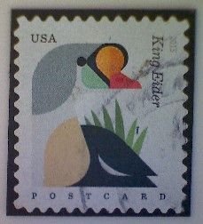 United States, Scott #4992, used(o), 2015, Post Card: Eider Duck, (35¢)