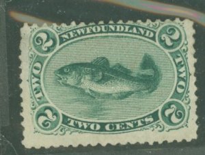 Newfoundland #24 Unused Single (Cat)