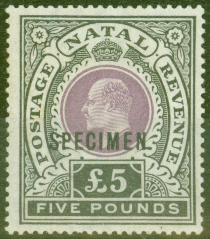 Natal 1902 £5 Mauve & Black Specimen SG144s V.F Mtd Mint