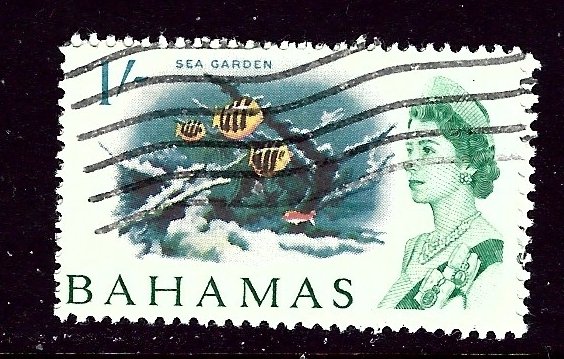 Bahamas 213 Used 1965 issue    (ap3685)