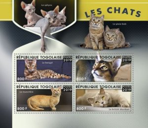 Togo - 2019 Cats on Stamps - 4 Stamp Sheet - TG190113a