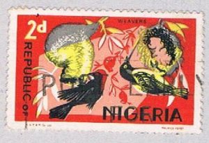 Nigeria Bird 2 (AP113413)
