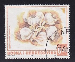 Bosnia and Herzegovina ( Bosniak )  #554  used  2006  vegetables  50pf  garlic