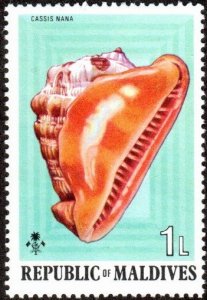 Maldive Islands 533 - Mint-NH - 1L Cassis nana (Sea Snail) (1975)