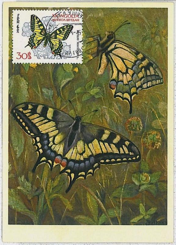 MAXIMUM CARD : intects BUTTERFLIES - MONGOLIA 1963   #2