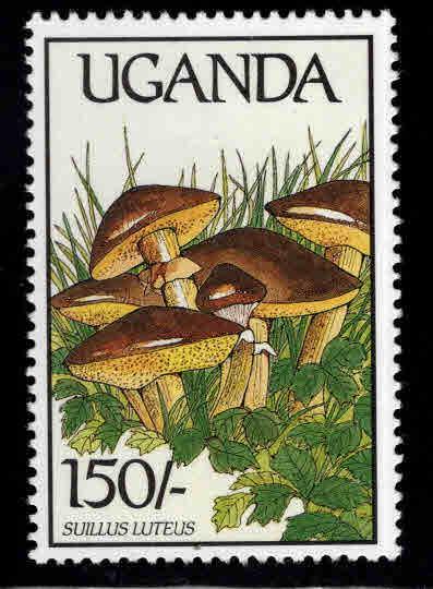 Uganda   Scott 667  MNH** Mushroom stamp