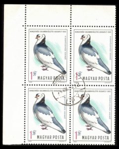 HUNGARY 1969 #2016 CIRCLING PIGEON, DOVE VF CTO CORNER BLOCK (BL12) ISSUED 52 YE