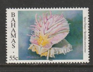 1996 Bahamas - Sc 858 - used VF - 1 single - Spiny oyster