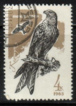 Bird, Red Kite, Russia stamp SC#3127 used