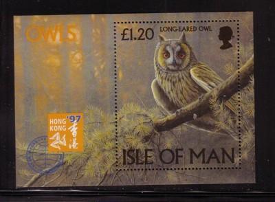 Isle of Man Sc 733 1997 Owl stamp sheet mint NH