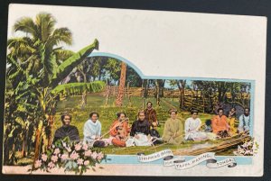 Mint Tonga Toga Postal Stationery Picture Postcard Stripping Bark For Tappa Maki